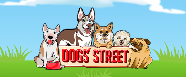 Dogs Street