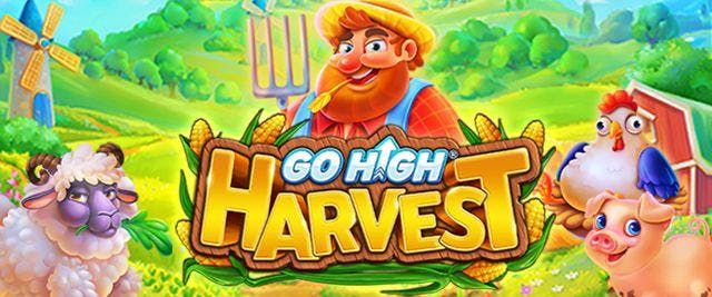 Go High Harvest